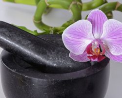 Orkide Nasıl Daha Fazla Çiçek Açar?