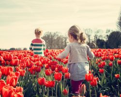 Nergis Anlamı: İlkbaharda Çiçek Açan Çiçeklerin Mesajı Nedir?